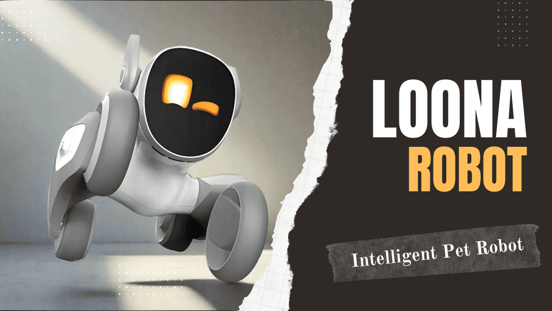 Exploring-the-World-of-Pet-Desktop-Robots-Meet-Loona-the-Intelligent-Companion Diversi Shop