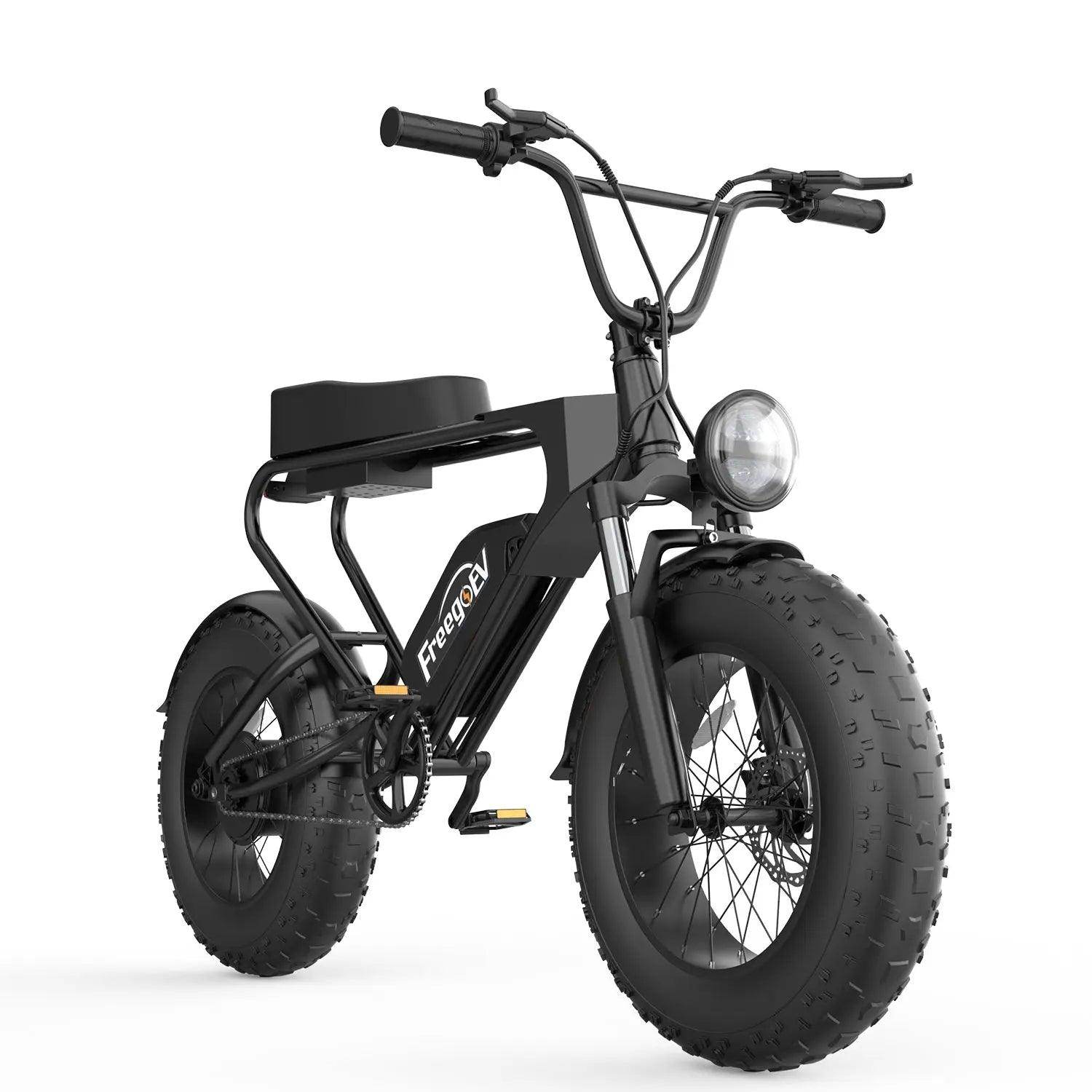 Electric mountain bike 48V 1200W motor DK200 professional factory manufacturing fat tire electric bike - SmartPursue™